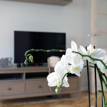Apartament Turkus Szczecin Extérieur photo