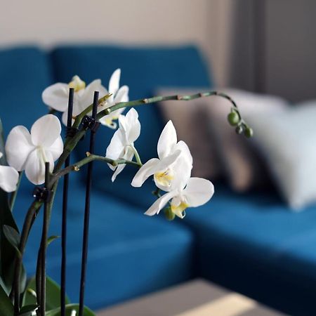 Apartament Turkus Szczecin Extérieur photo