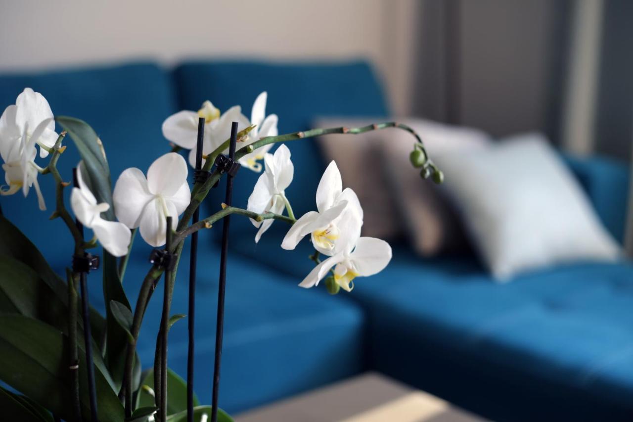 Apartament Turkus Szczecin Extérieur photo